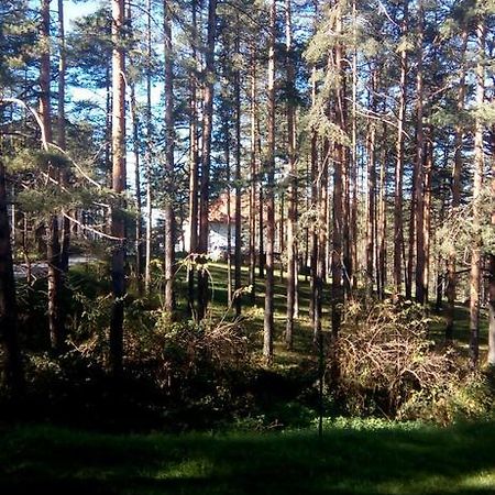 Apartment 9 Gorska Vila Zlatibor Ngoại thất bức ảnh