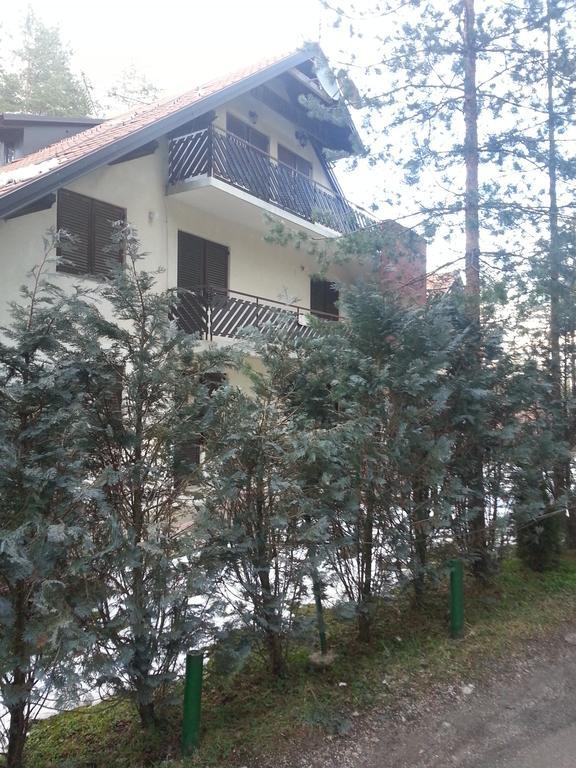 Apartment 9 Gorska Vila Zlatibor Ngoại thất bức ảnh