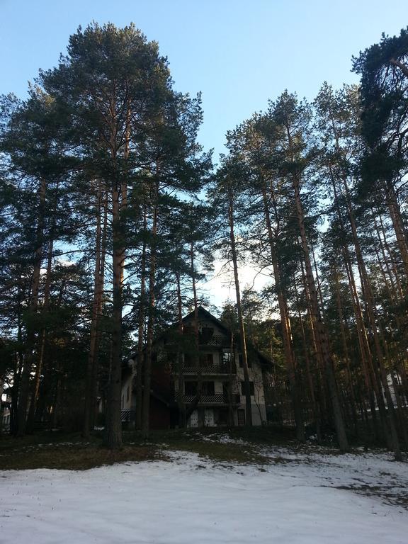 Apartment 9 Gorska Vila Zlatibor Ngoại thất bức ảnh
