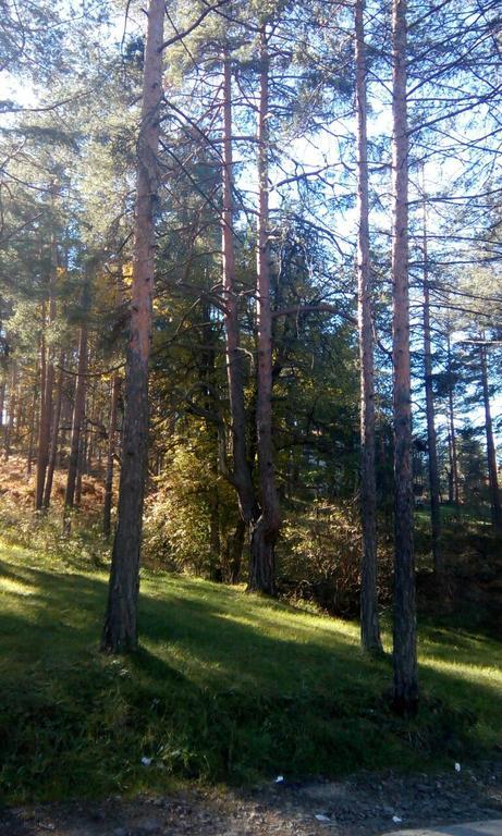 Apartment 9 Gorska Vila Zlatibor Ngoại thất bức ảnh