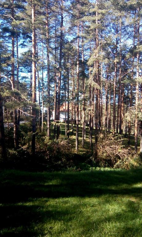 Apartment 9 Gorska Vila Zlatibor Ngoại thất bức ảnh